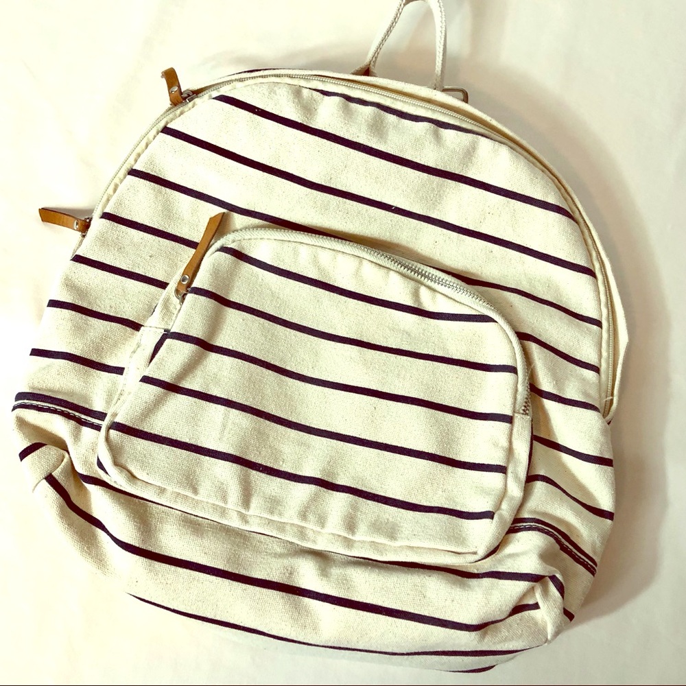 Express Stripes Canvas Backpack